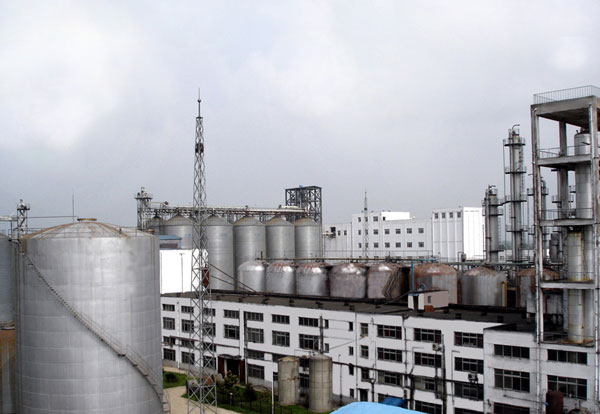 投注平台app下载