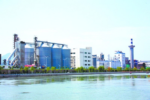 投注平台app下载